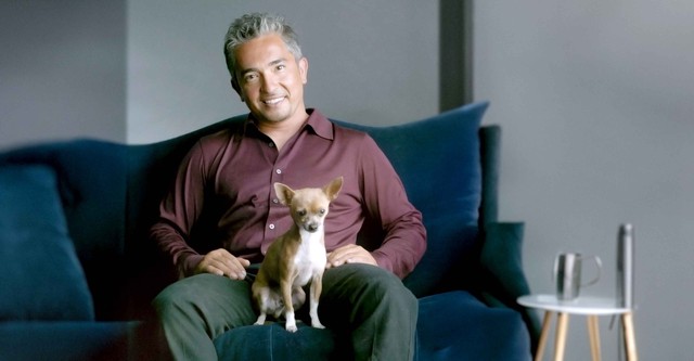 El Encantador de Perros