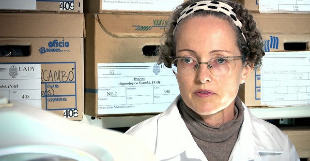 Tarihe Yakından Bakış