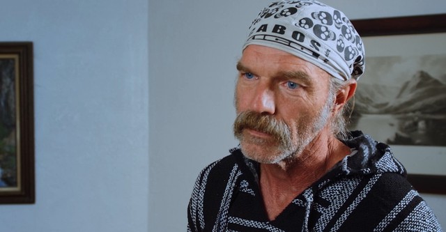 2025: La purga anual