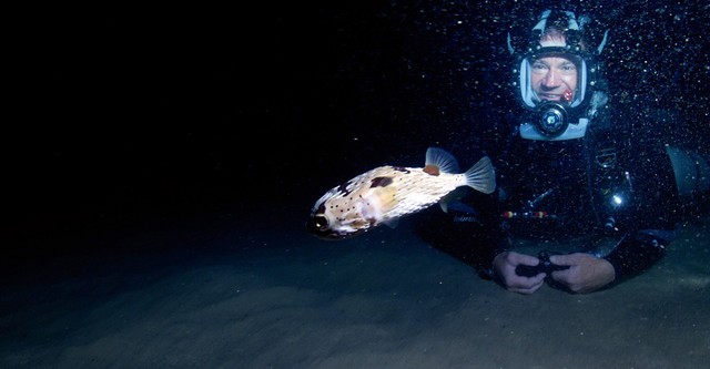 Mission Pôle Nord Pôle Sud