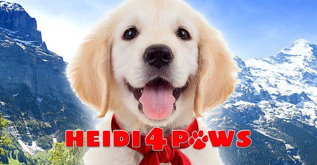 Heidi auf 4 Pfoten
