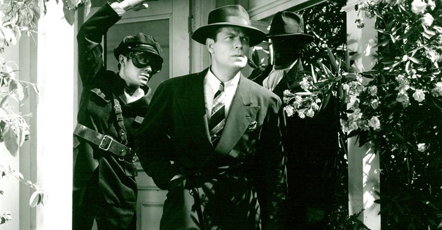 The Green Hornet Strikes Again!