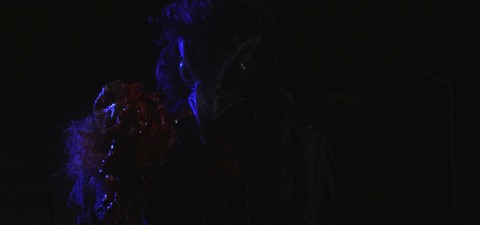 DeVoid