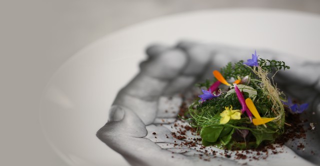 The Mind of a Chef