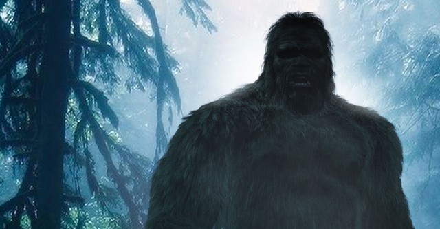 Chasing Bigfoot: The Quest for Truth