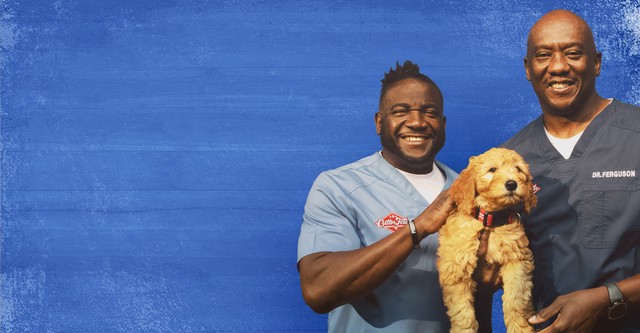 Critter Fixers: Hospital Veterinário