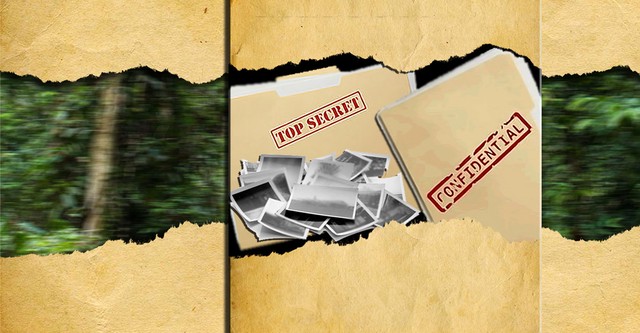 Bigfoot: The Evidence Files