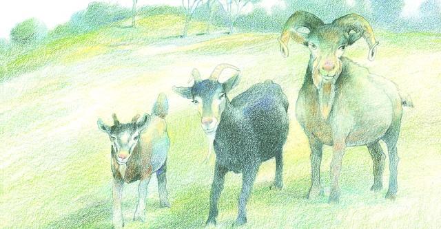 Rabbit Ears - The Three Billy Goats Gruff/The Three Little Pigs