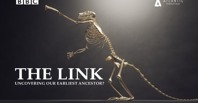 Uncovering Our Earliest Ancestor: The Link