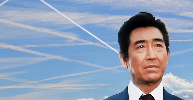 Chefinspektor Kaga - Flughafenpolizei Tokio