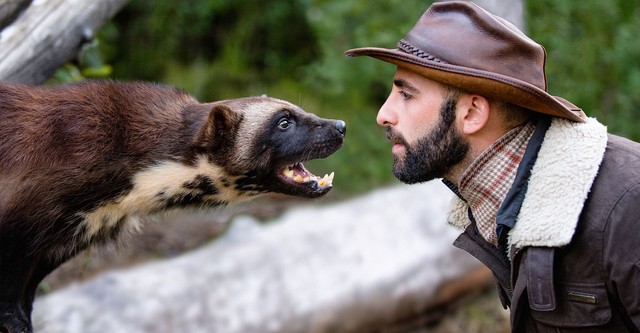 Brave Wilderness