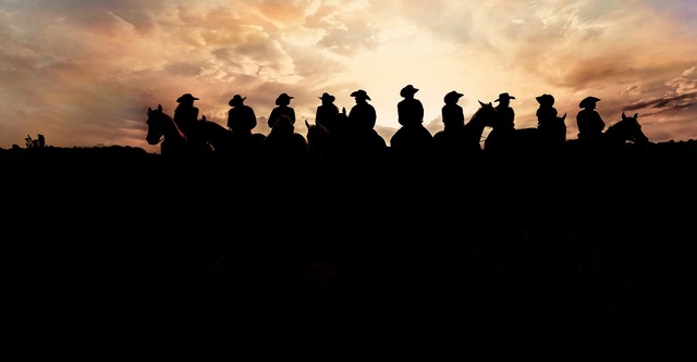 The Last Cowboy