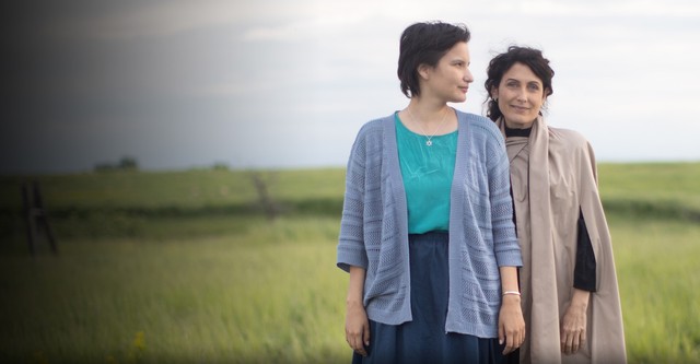 Little Bird, los niños robados