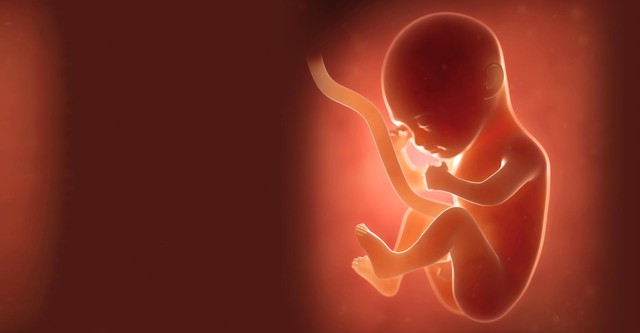 The Secret Life of Babies