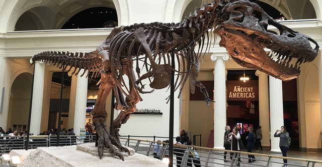 Museum Access
