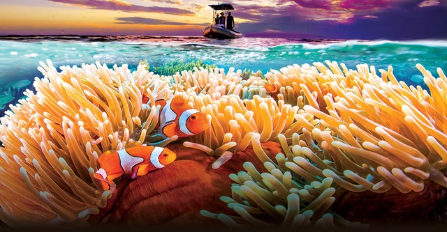 Great Barrier Reef 3D