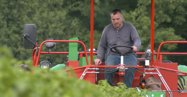 Tractor Ted