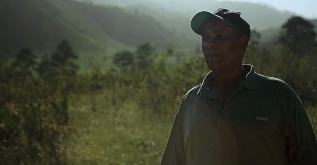 Muerte por mil cortes