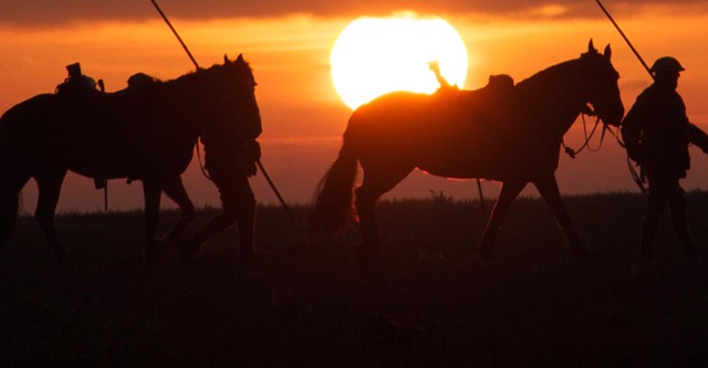 War Horse: The Real Story