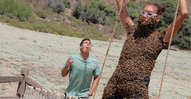 Fear Factor