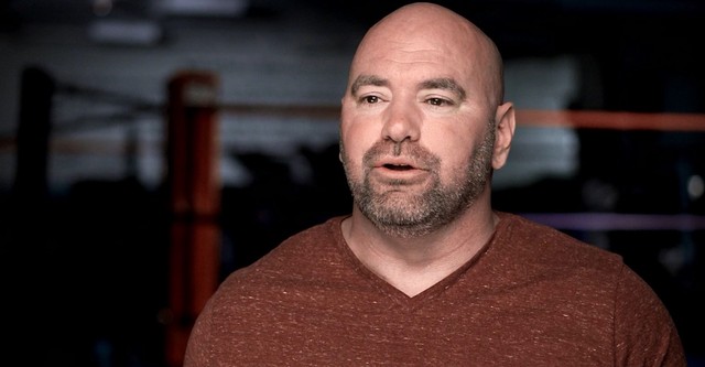 The Ultimate Fighter
