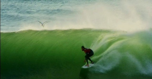 BoardHeads