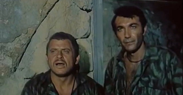 Eagles Attack At Dawn