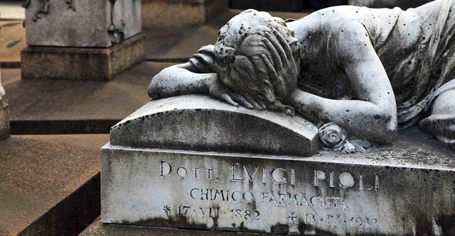 Flight from Death: The Quest for Immortality