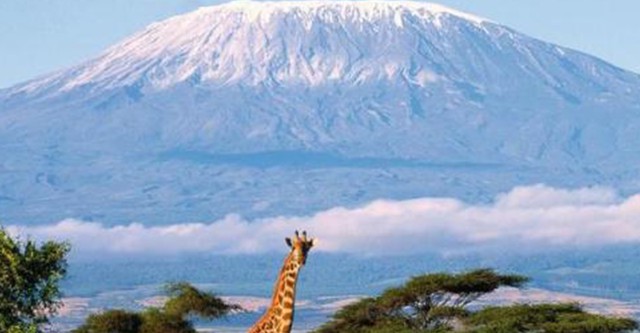 Kilimanjaro - To the Roof of Africa