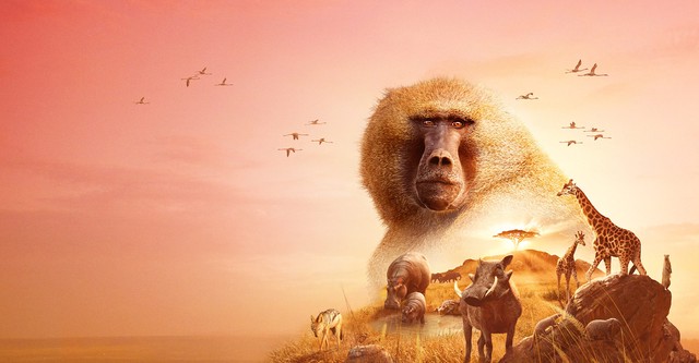 Serengeti