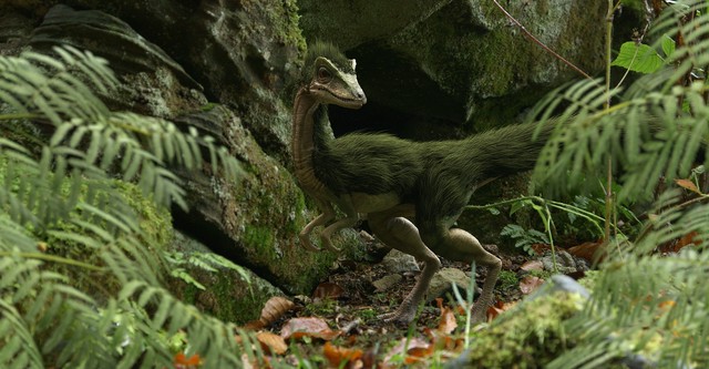 300 Million Years