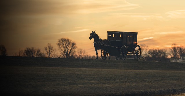 The Amish: Shunned