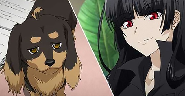 Dog & Scissors