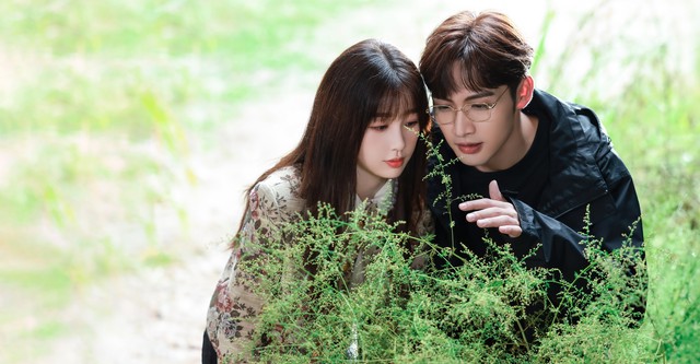 A Romance of the Little Forest