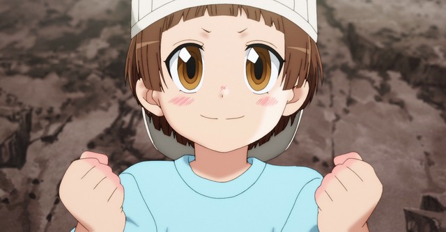 Cells at work!