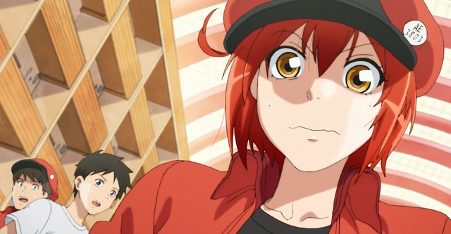 Hataraku saibou