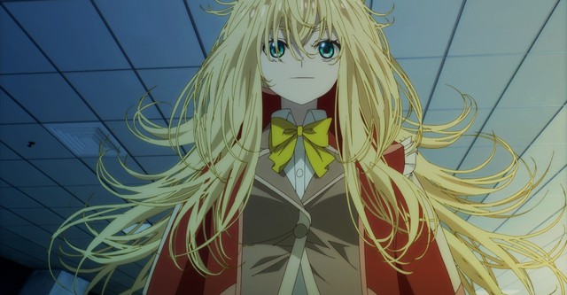 Momentary Lily