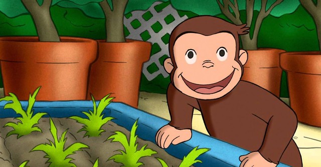 Curioso come George