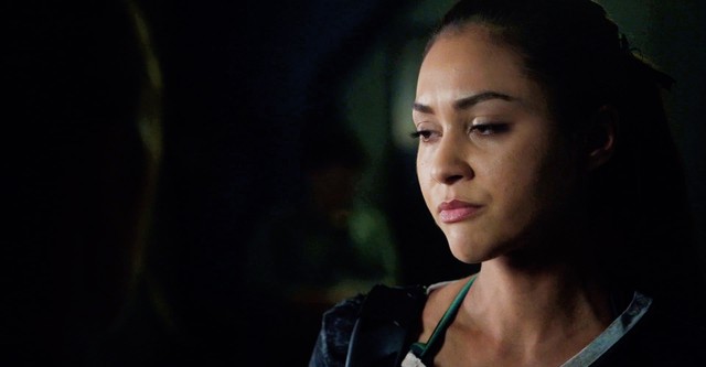 The 100