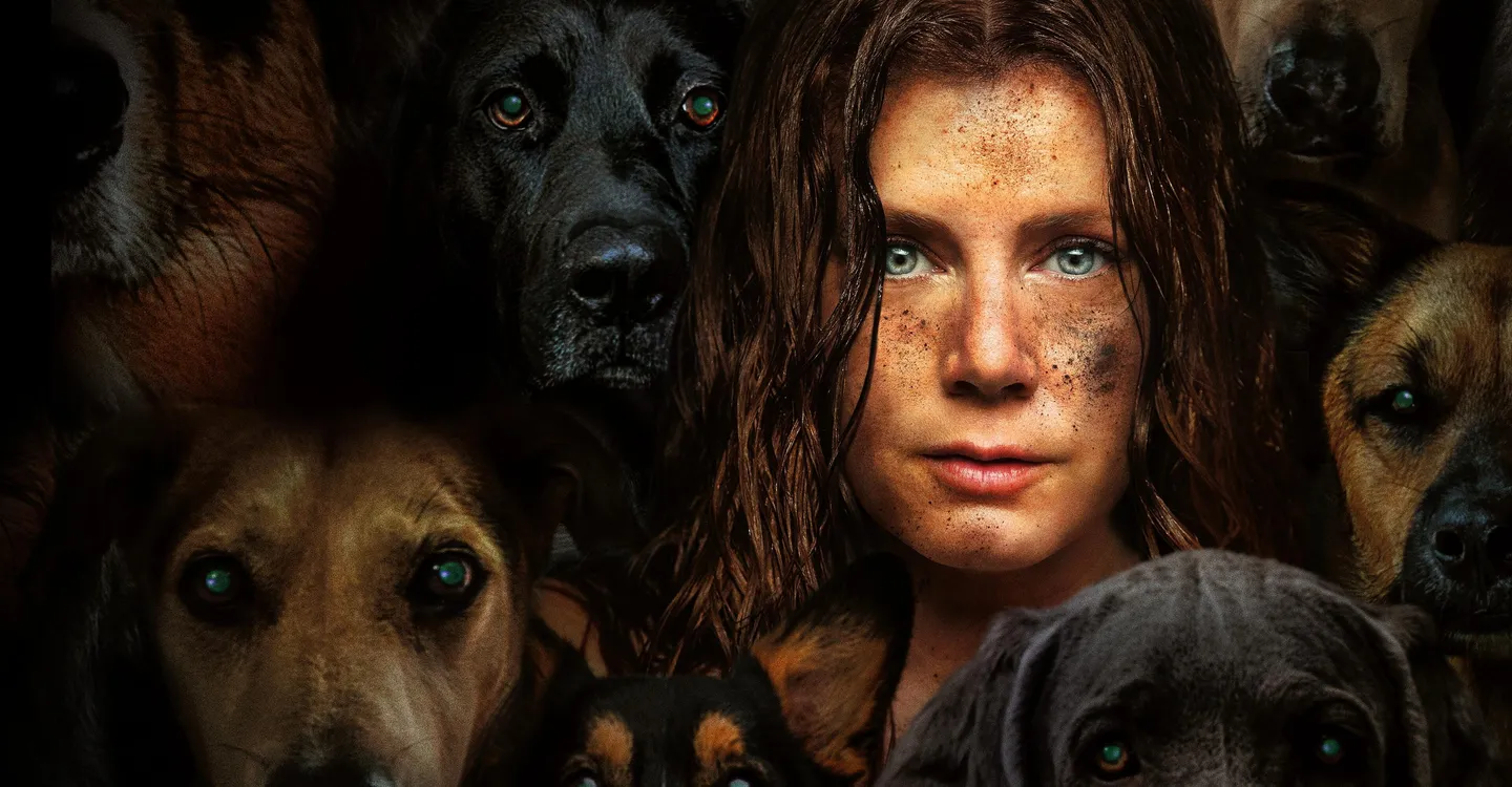 Amy Adams : la liste de ses meilleurs films et où les voir en streaming ?