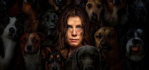 How (and Where) to Watch the Best Amy Adams Movies