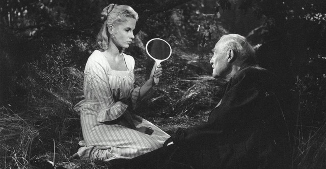 Wild Strawberries