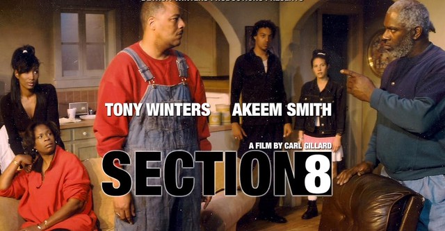 Section 8