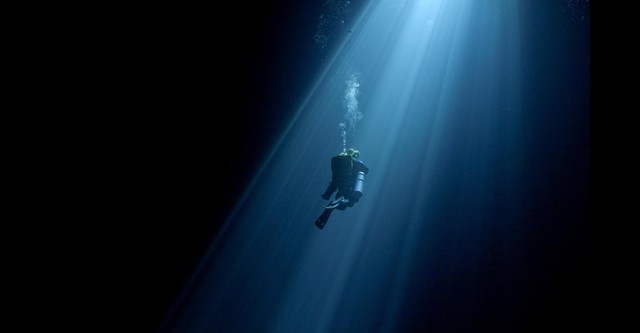 Diving Into The Darkness