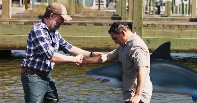 Mississippi River Sharks