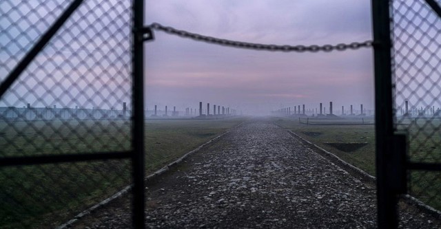 Auschwitz: Countdown to Liberation