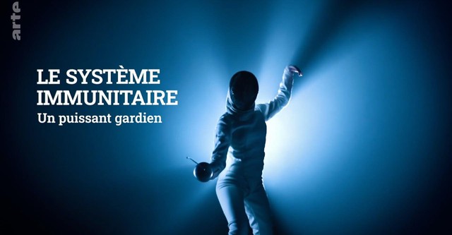 Unser Immunsystem - Wächter der Gesundheit