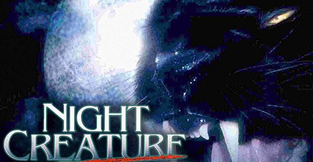 Night Creature