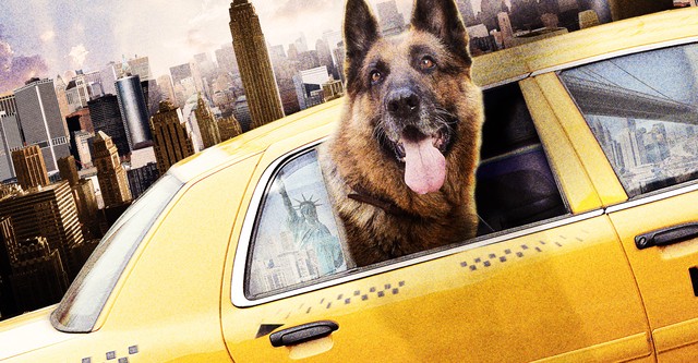 Tierisch Cool - Ein Hund in New York