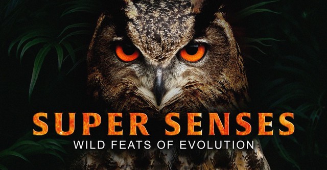 Super Senses
